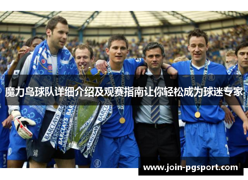 魔力鸟球队详细介绍及观赛指南让你轻松成为球迷专家